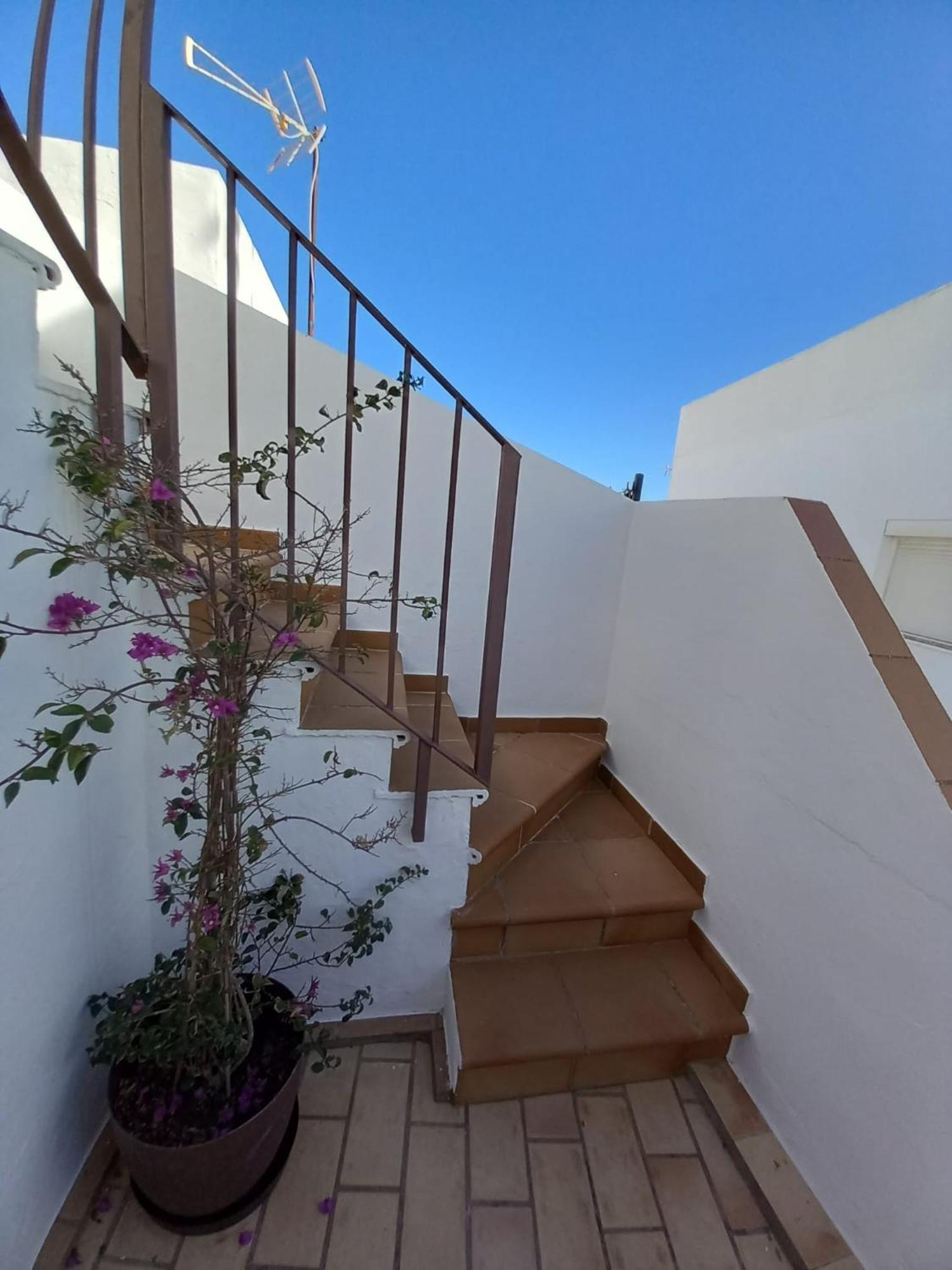 Casa El Molino Vila Conil De La Frontera Exterior foto